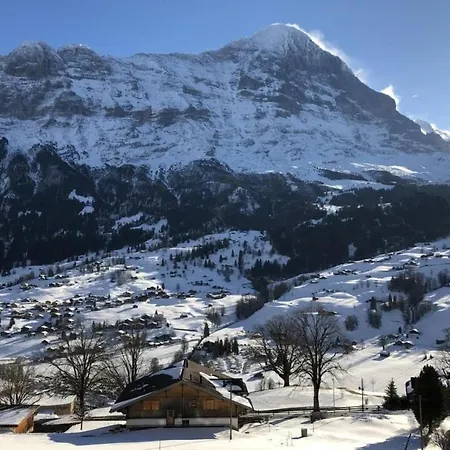 Burgstein, Alpenrose